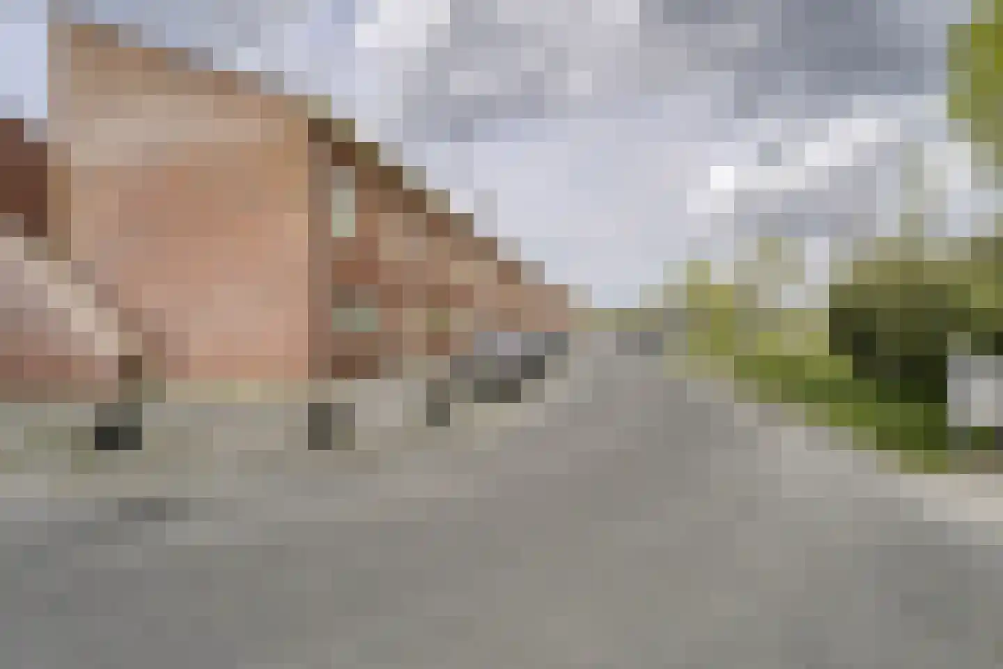 Parnassia 407 Katwijk thumbnail 25
