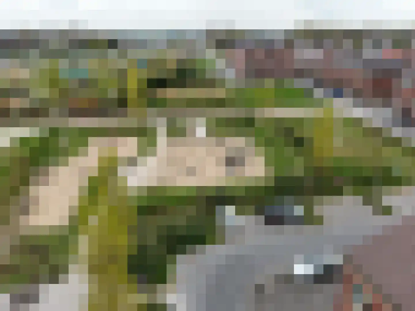 Parnassia 407 Katwijk thumbnail 27