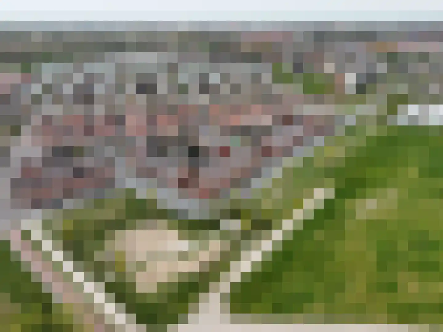 Parnassia 407 Katwijk thumbnail 29
