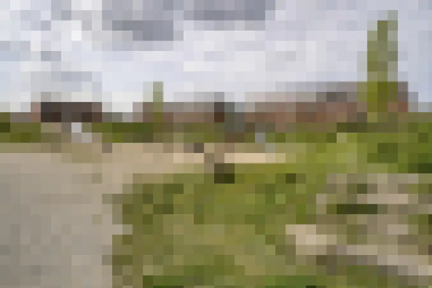 Parnassia 407 Katwijk thumbnail 30
