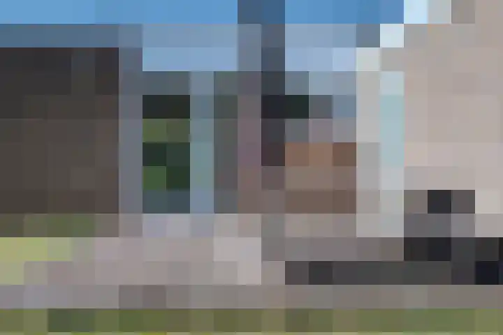 Parnassia 5 Julianadorp thumbnail 12