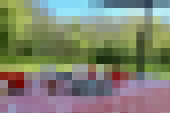 Parnassia 5 Julianadorp thumbnail 13