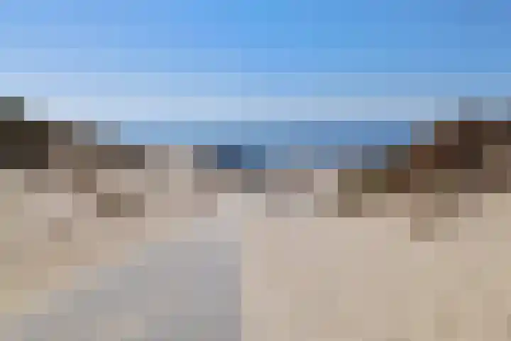 Parnassia 5 Julianadorp thumbnail 20