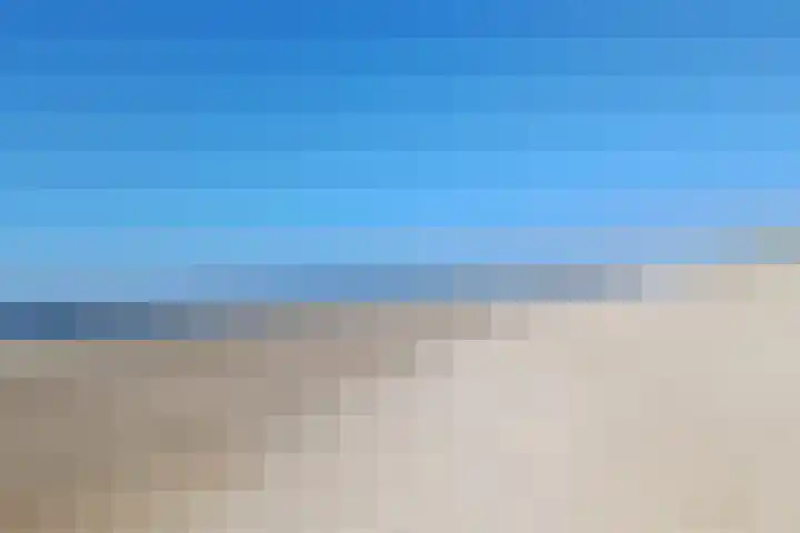 Parnassia 5 Julianadorp thumbnail 22