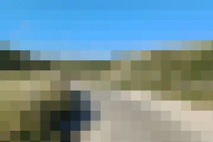 Parnassia 5 Julianadorp thumbnail 24