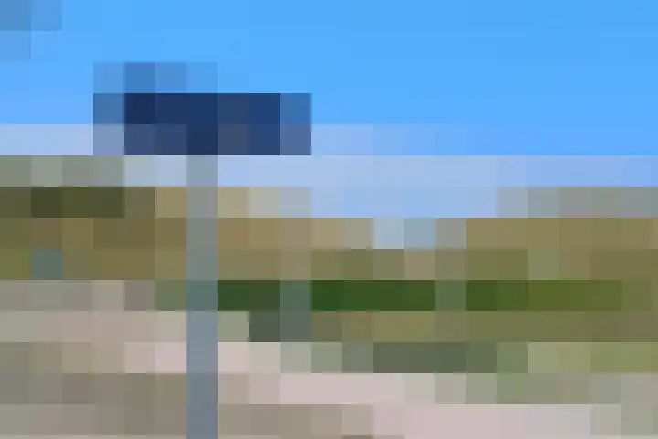 Parnassia 5 Julianadorp thumbnail 25
