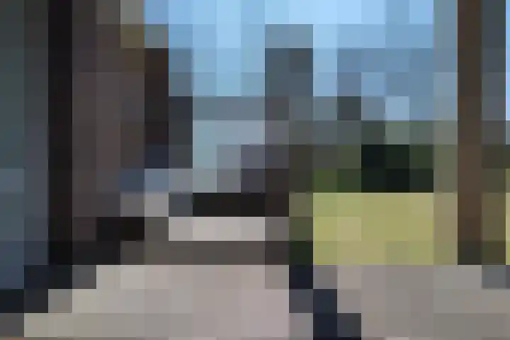 Parnassia 5 Julianadorp thumbnail 4
