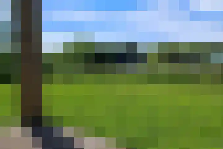 Parnassia 5 Julianadorp thumbnail 6