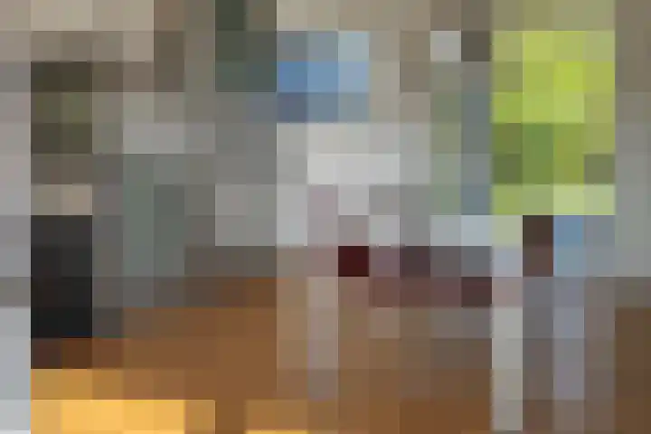 Parnassia 5 Julianadorp thumbnail 7