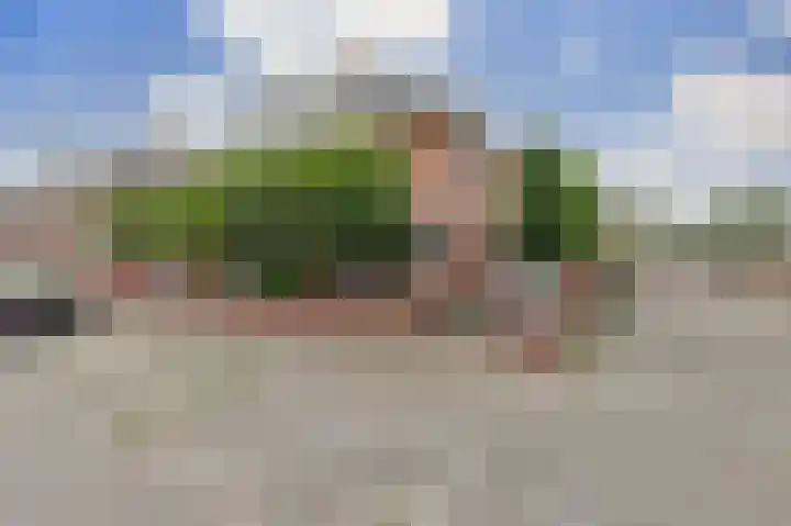 Parnassia 94 Katwijk thumbnail 7