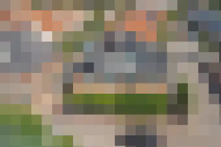 Parnassia 94 Katwijk thumbnail 8