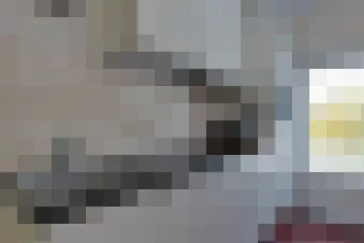 Parnassiadal 364 Ballum thumbnail 18