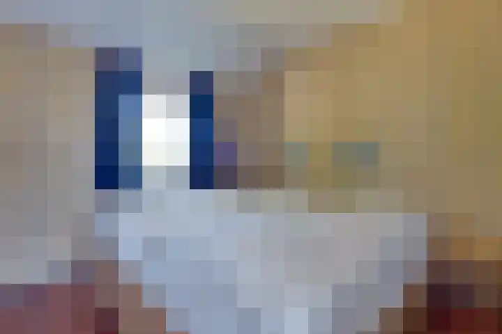 Parnassiadal 364 Ballum thumbnail 20