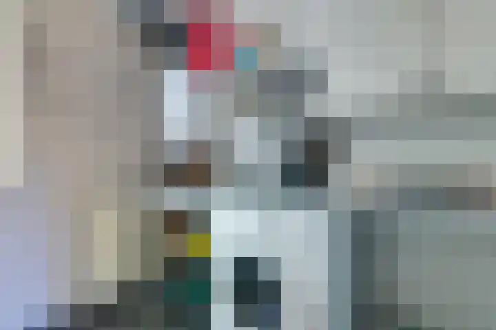 Parnassiadal 364 Ballum thumbnail 28