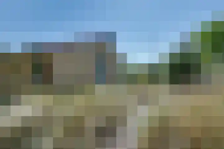 Parnassiadal 364 Ballum thumbnail 31