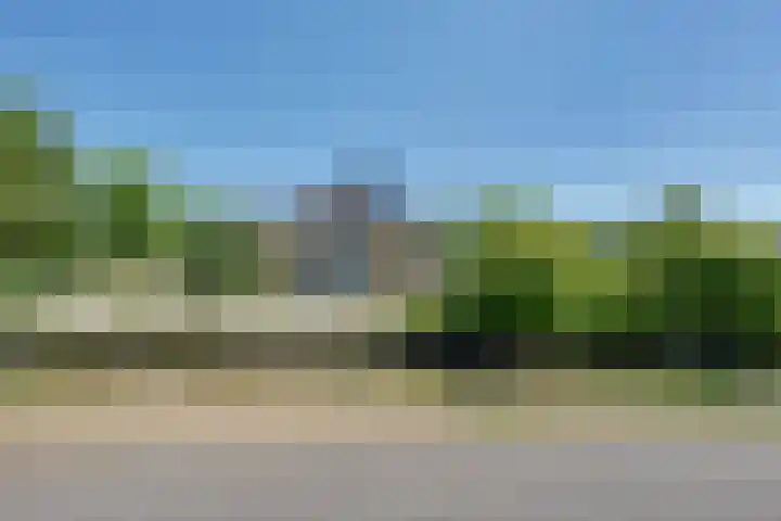 Parnassiadal 364 Ballum thumbnail 32