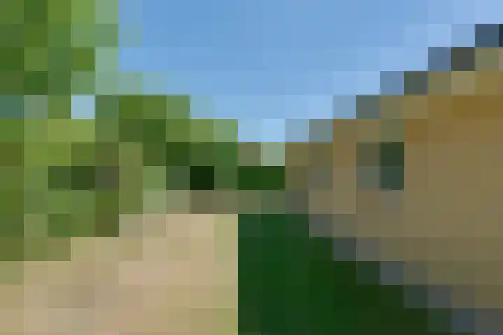 Parnassiadal 364 Ballum thumbnail 33