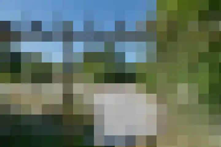 Parnassiadal 364 Ballum thumbnail 34