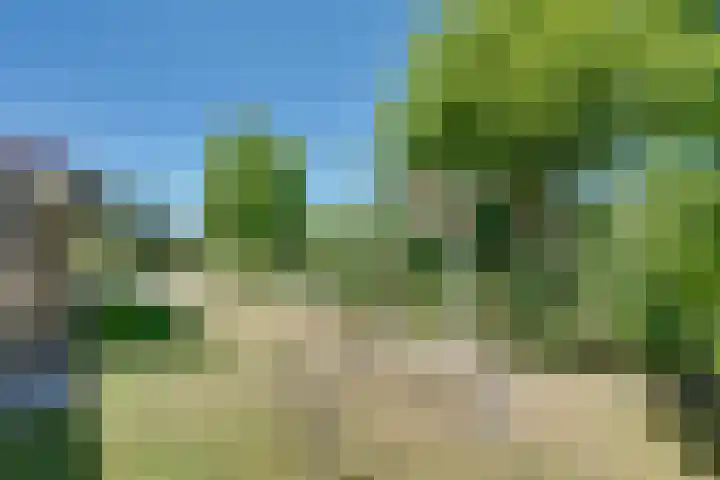 Parnassiadal 364 Ballum thumbnail 36