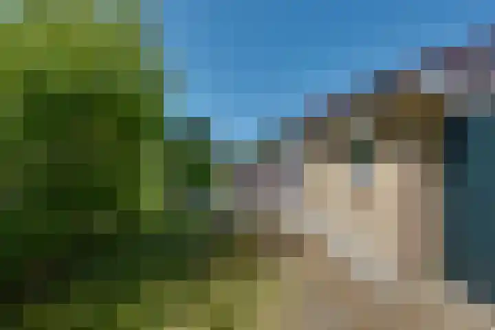 Parnassiadal 364 Ballum thumbnail 38