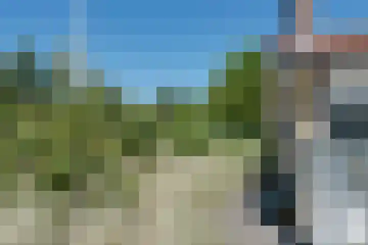 Parnassiadal 364 Ballum thumbnail 41