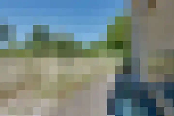 Parnassiadal 364 Ballum thumbnail 42