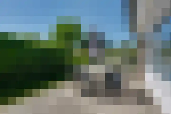Parnassiadal 364 Ballum thumbnail 43