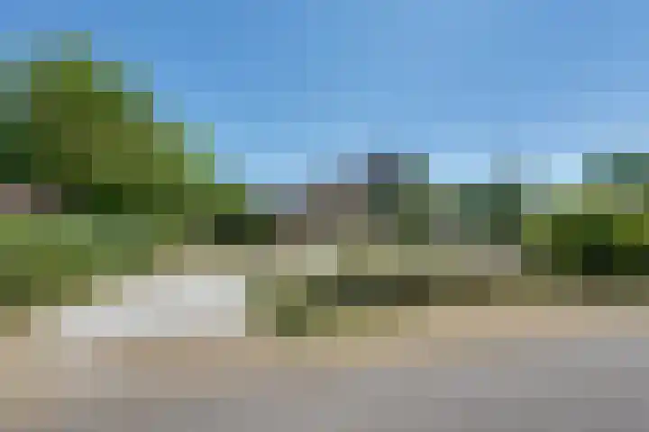 Parnassiadal 364 Ballum thumbnail 47