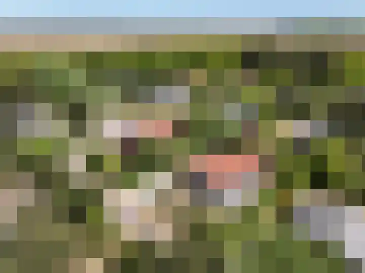 Parnassiadal 364 Ballum thumbnail 54