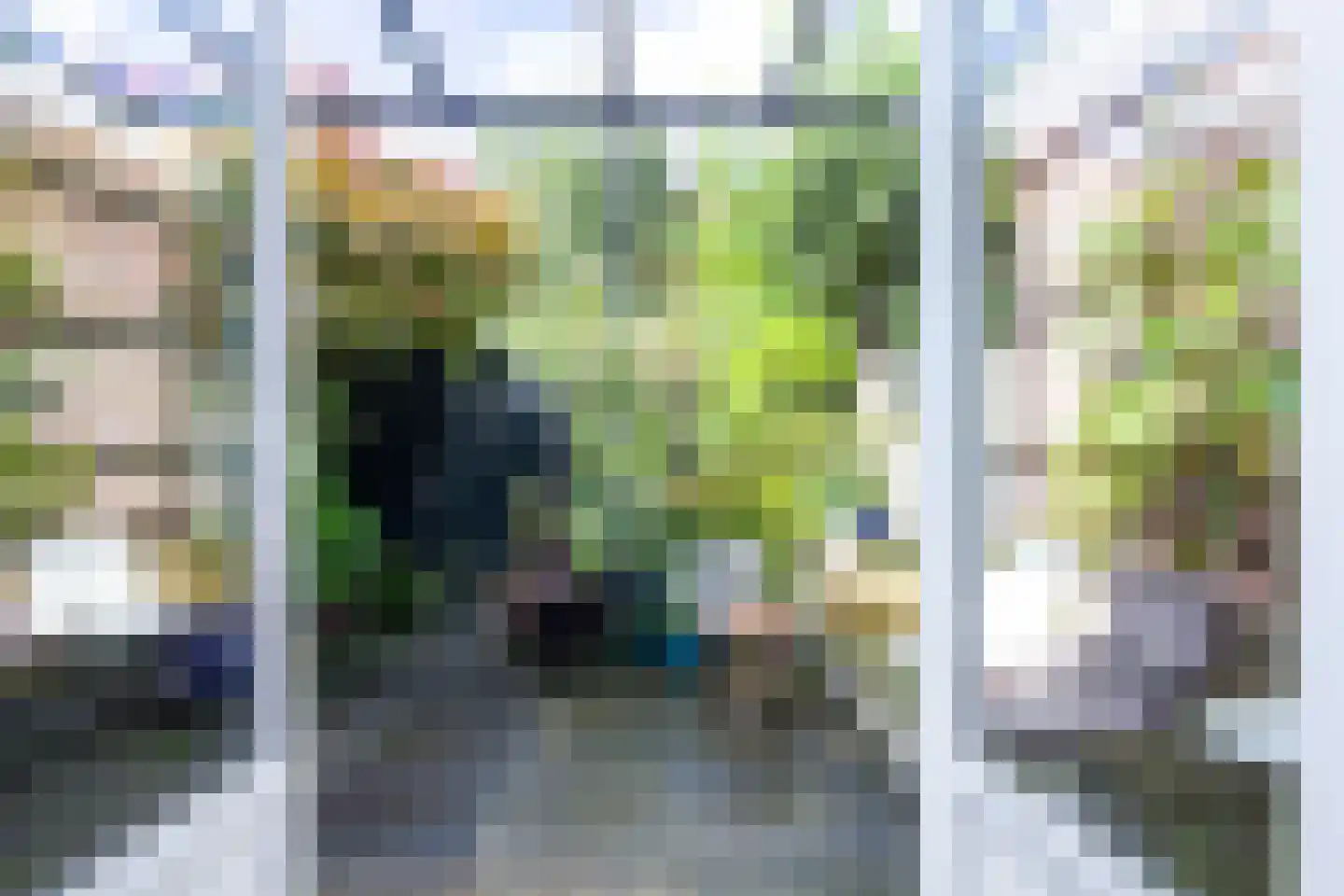 Parnassiakade 16 Haarlem thumbnail 20