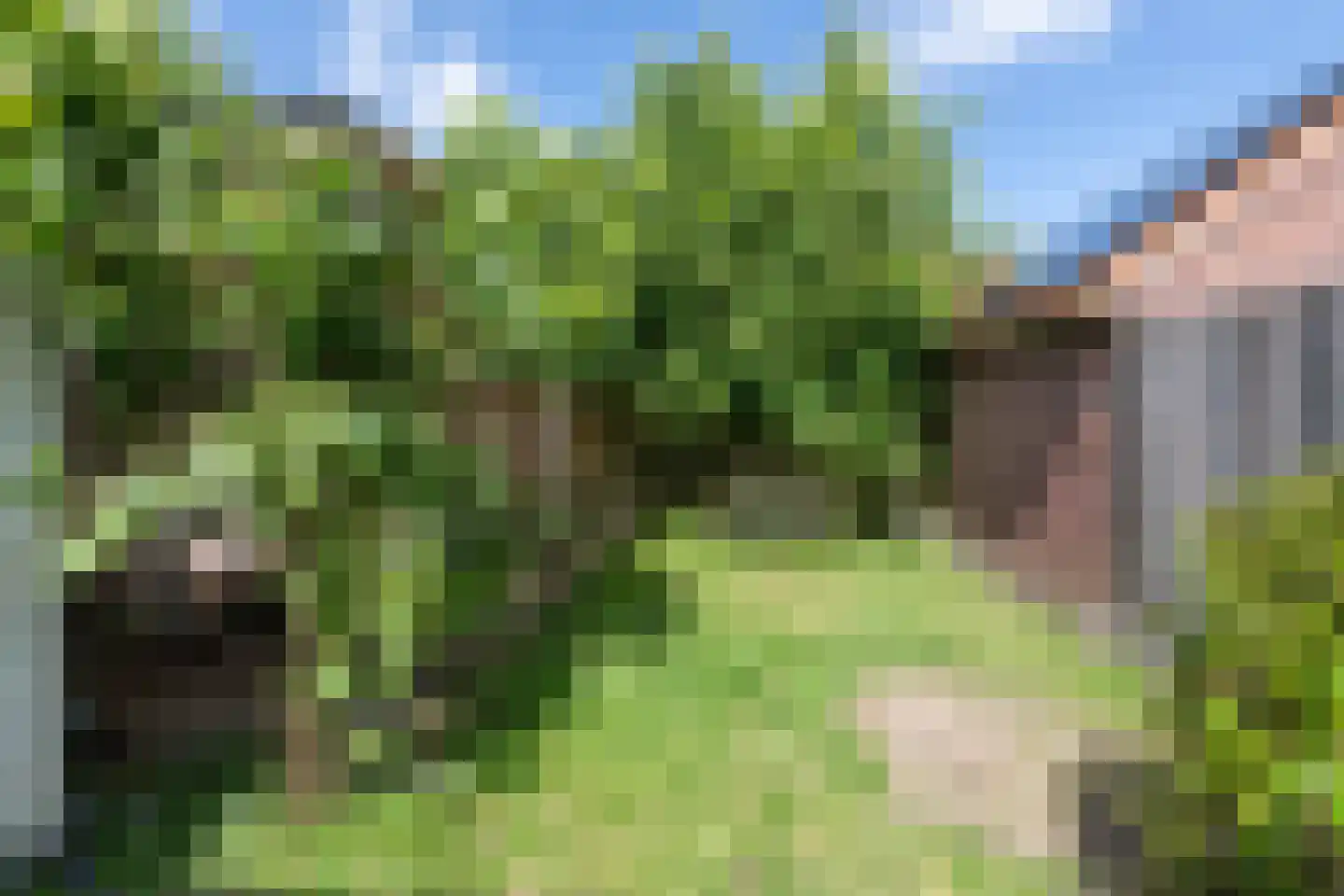 Parnassiakade 26 Haarlem thumbnail 13