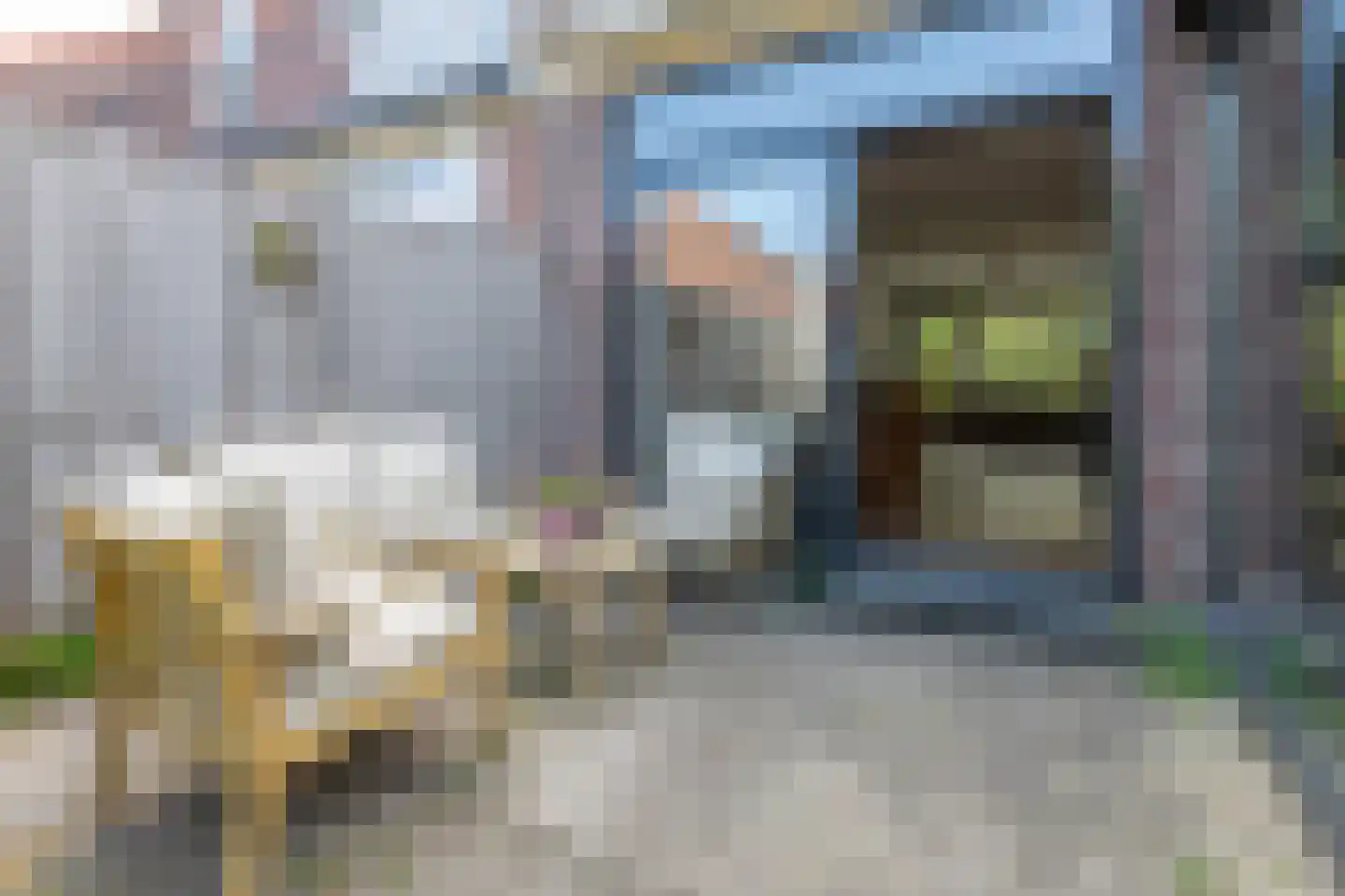 Parnassiakade 26 Haarlem thumbnail 14