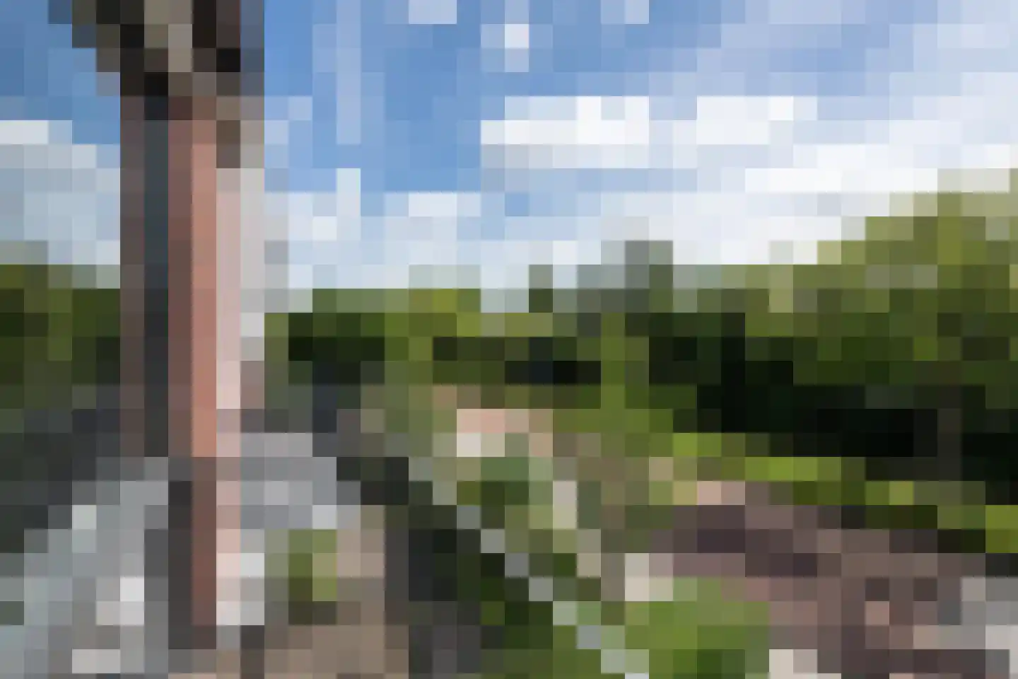 Parnassiakade 26 Haarlem thumbnail 19