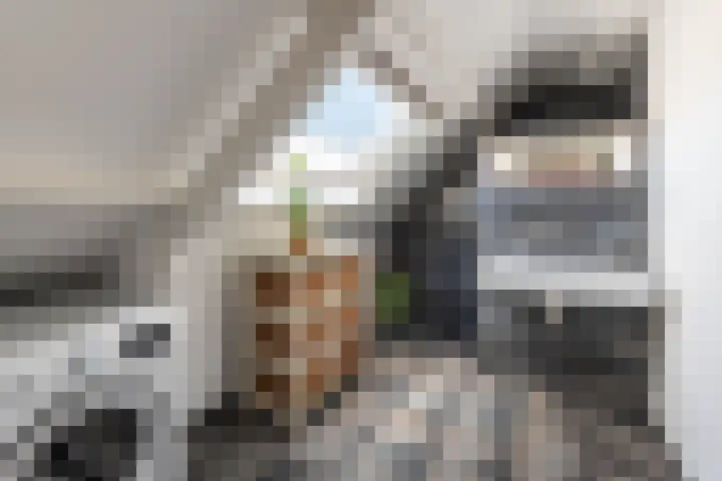 Parnassiakade 26 Haarlem thumbnail 29