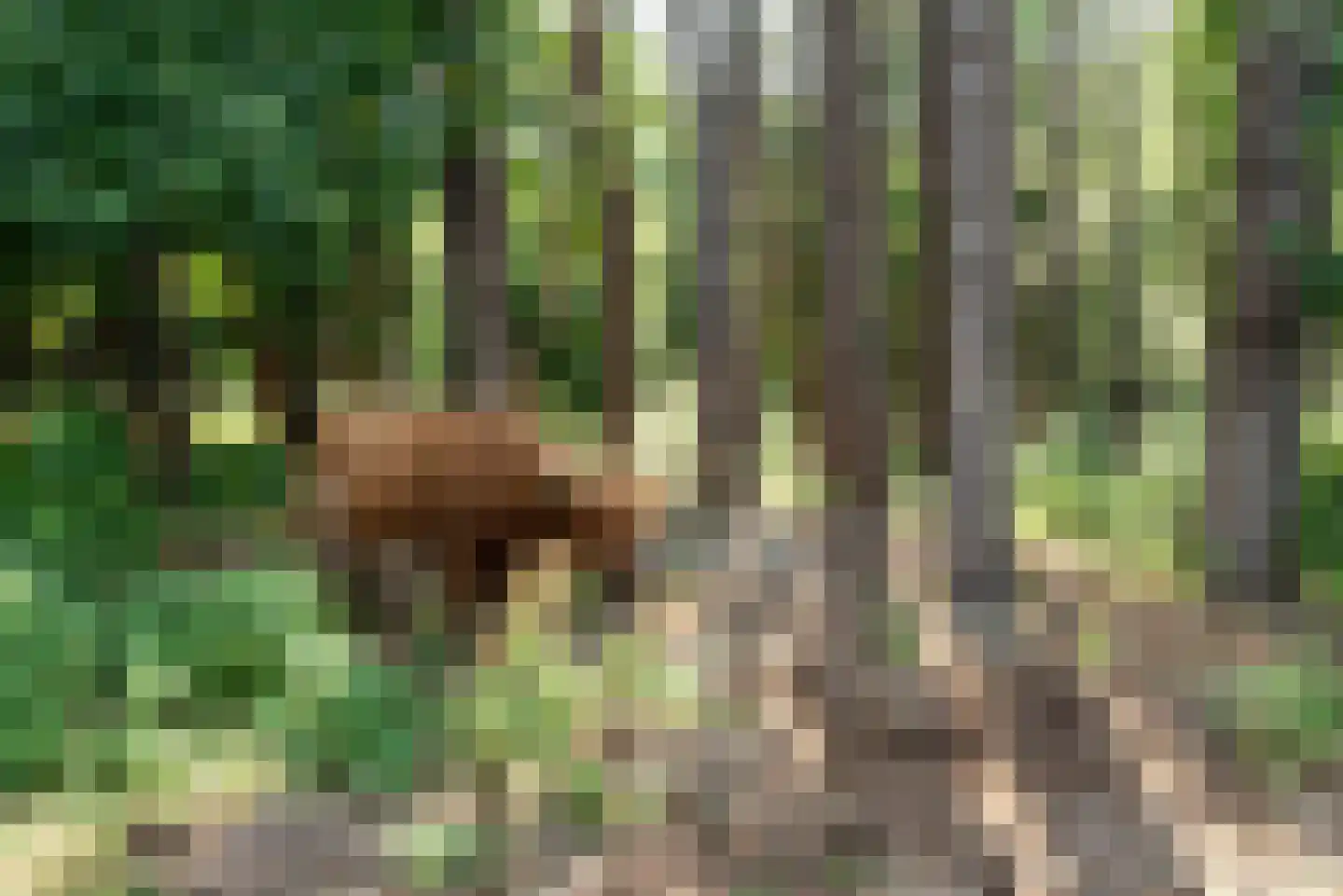 Parnassiakade 26 Haarlem thumbnail 38