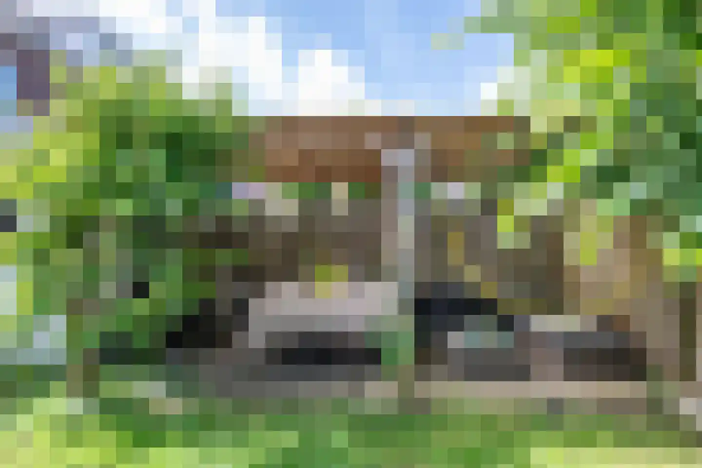 Parnassiakade 26 Haarlem thumbnail 4