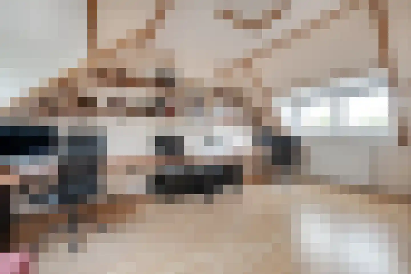 Parnassiakade 3 Haarlem thumbnail 23