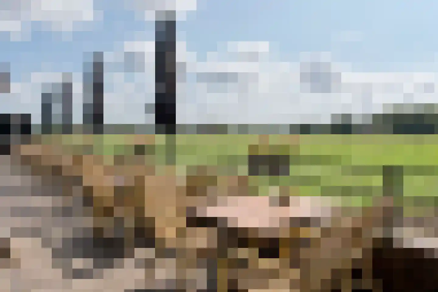 Parnassiakade 3 Haarlem thumbnail 33
