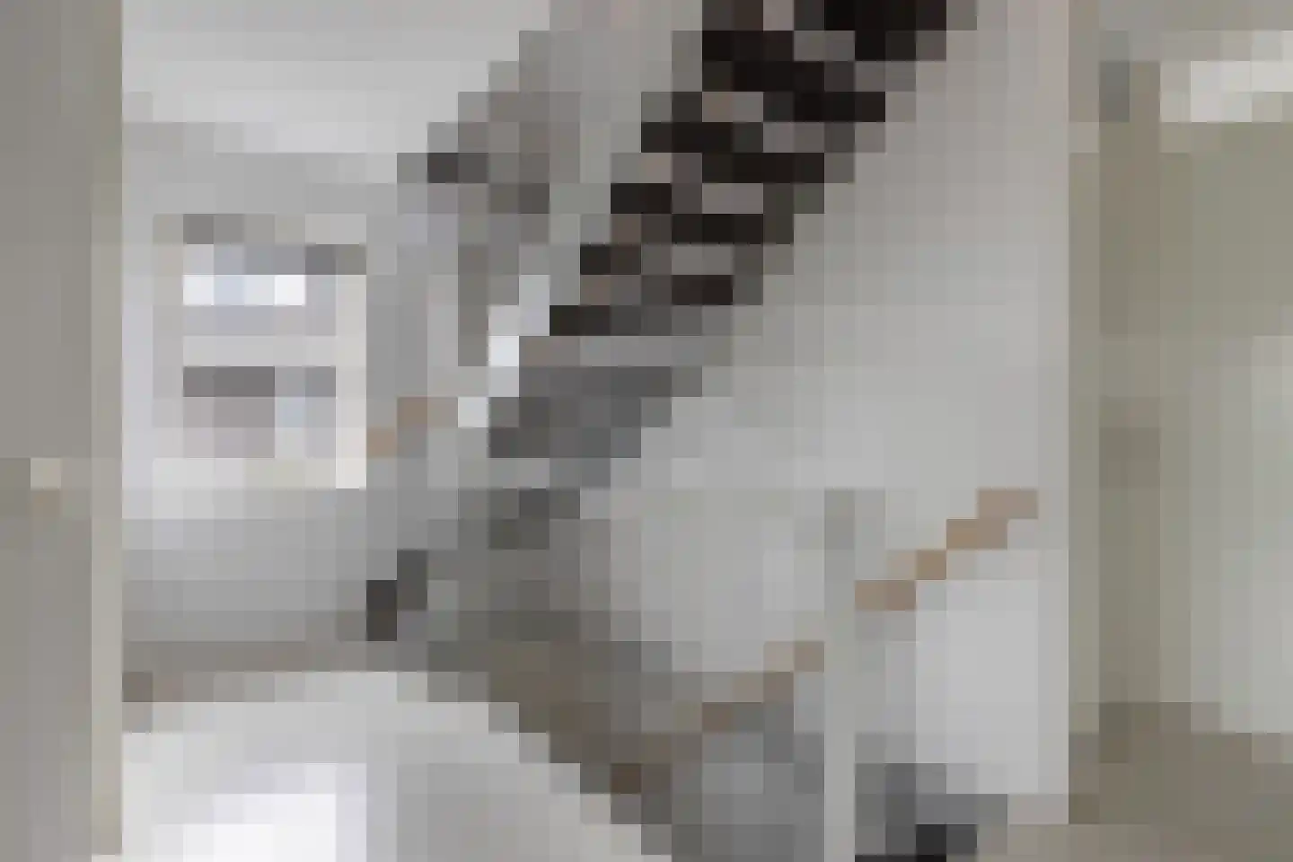 Parnassialaan 1 Lelystad thumbnail 31