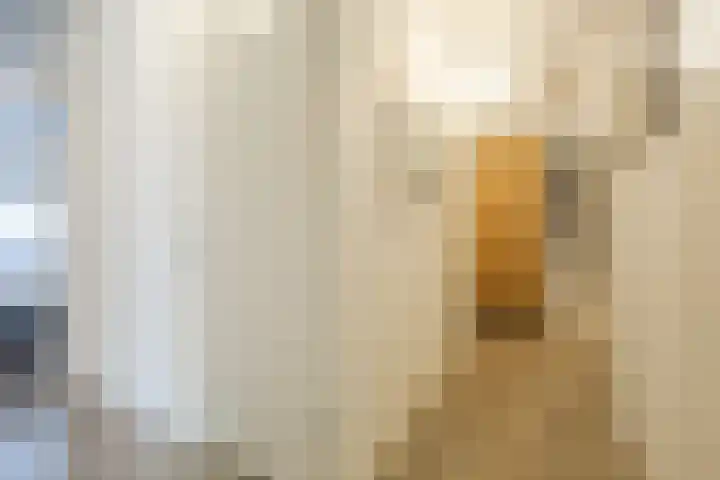 Parnassialaan 12 Lelystad thumbnail 12