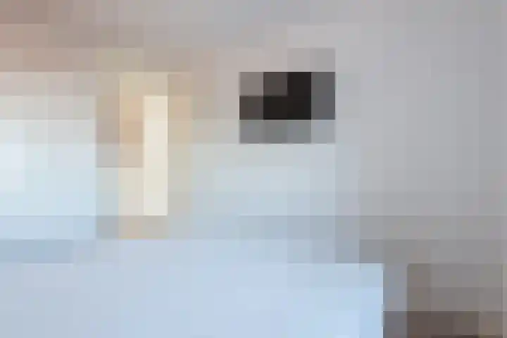 Parnassialaan 12 Lelystad thumbnail 19