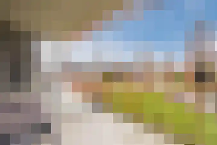 Parnassialaan 12 Lelystad thumbnail 23