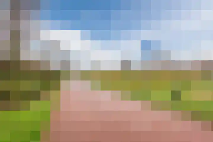 Parnassialaan 12 Lelystad thumbnail 30