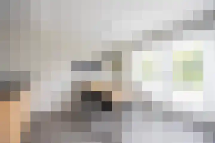 Parnassialaan 14 Bennebroek thumbnail 12