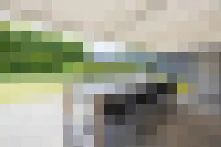 Parnassialaan 14 Bennebroek thumbnail 14