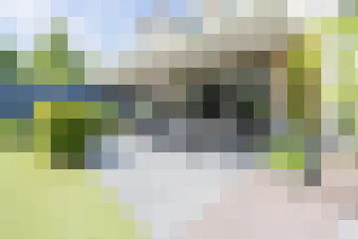 Parnassialaan 14 Bennebroek thumbnail 15