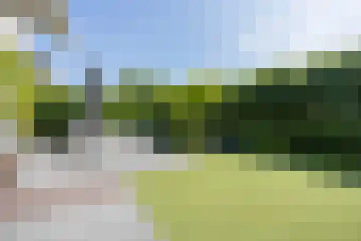 Parnassialaan 14 Bennebroek thumbnail 19