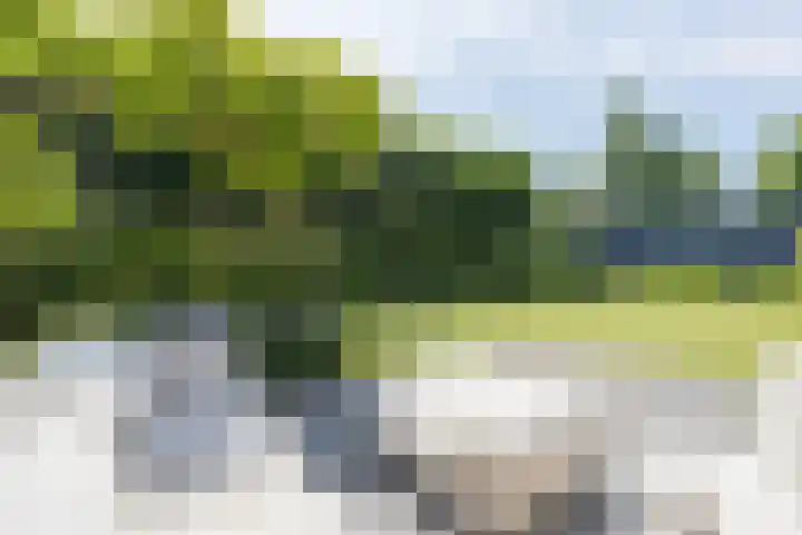 Parnassialaan 14 Bennebroek thumbnail 21