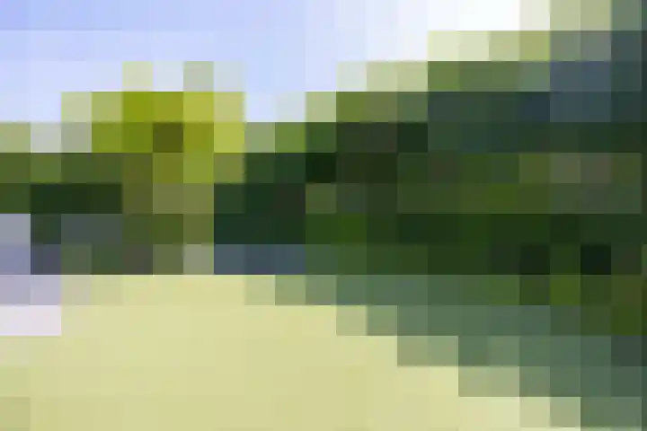 Parnassialaan 14 Bennebroek thumbnail 22