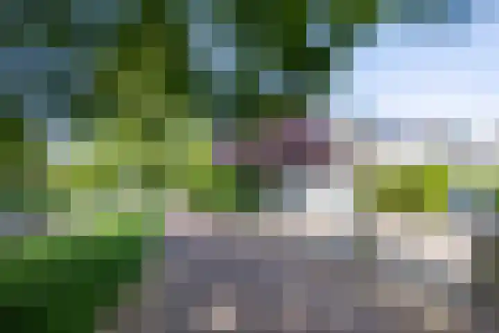 Parnassialaan 14 Bennebroek thumbnail 47